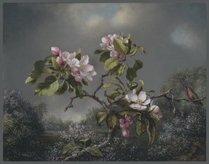 Apfelblüten und Kolibri, 1871 von Martin Johnson Heade