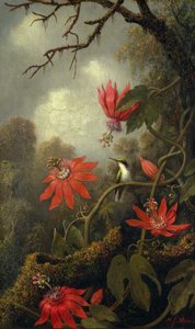 Kolibri und Passionsblumen, ca. 1875-85