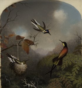 Kolibris: Zwei Sonnenjuwelen und ein Purpur-Topas, 1866