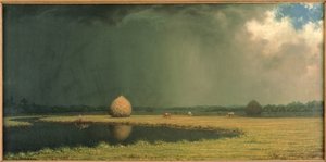 Salzmarsh-Heu von Martin Johnson Heade