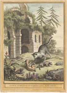 Die Katze, das Wiesel und der Hase