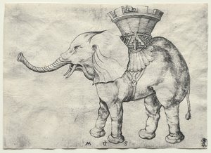 Ein Elefant mit Howdah, um 1485