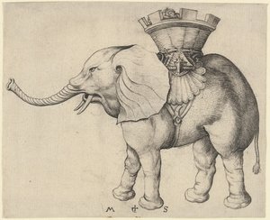 Elefant