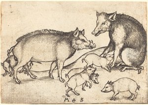 Schweinefamilie von Martin Schongauer