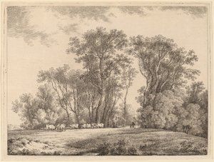 Eine Wiese mit Vieh am Waldrand
