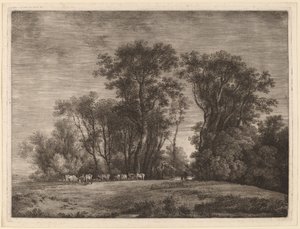 Eine Wiese mit Vieh am Waldrand