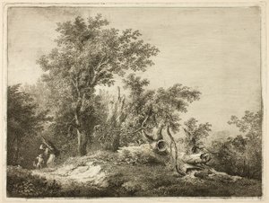 Der gefallene Baumstamm