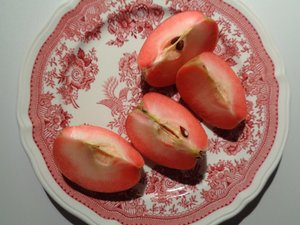 Porzellanteller von Villeroy und Boch mit rotem Apfel