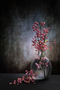 Rosa Beeren-Stillleben von Martine Benezech