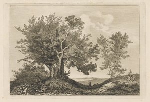 Landweg zwischen zwei Baumgruppen von Martinus Antonius Kuytenbrouwer jr.