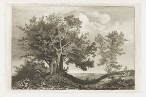 Landweg zwischen zwei Baumgruppen von Martinus Antonius Kuytenbrouwer jr.