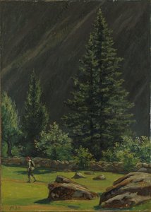 Aus Telemark von Martinus Rørbye