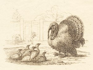 Illustration zu "Halvhundrede Fabler for Børn" von Hey