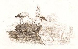Illustration zu Halvhundrede Fabler for Børn von Hey von Martinus Rørbye