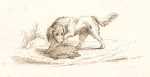 Illustration zu "Halvhundrede Fabler for Børn" von Hey von Martinus Rørbye