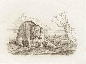 Illustration zu "Halvhundrede Fabler for Børn" von Hey von Martinus Rørbye