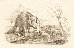 Illustration zu "Halvhundrede Fabler for Børn" von Hey von Martinus Rørbye