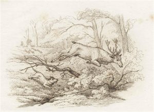 Illustration zu „Halvhundrede Fabler for Børn“ von Hey von Martinus Rørbye