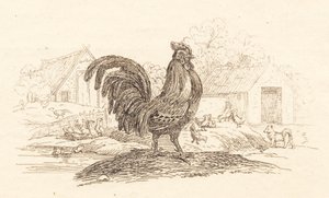 Illustration zu "Halvhundrede Fabler for Børn" von Hey von Martinus Rørbye
