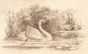 Illustration zu "Halvhundrede Fabler for Børn" von Hey von Martinus Rørbye