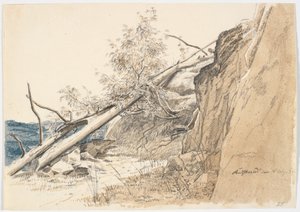 Baumstamm, der sich gegen einen Felsen lehnt. Norwegen von Martinus Rørbye