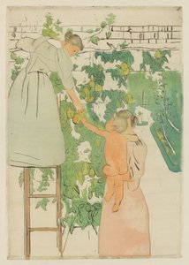Obsternte, ca. 1893 von Mary Cassatt