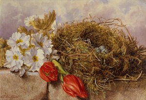 Ein Stillleben mit blühenden Tulpen und einem Vogelnest auf einem Sims