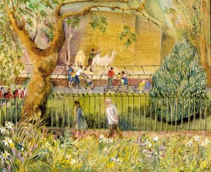 Londoner Zoo, Kamele
