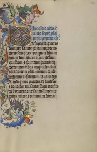 Bewohnte Initiale S