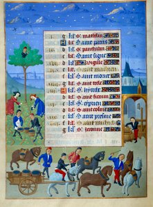 Weinlese und Transport. Seite aus dem illuminierten Manuskript 