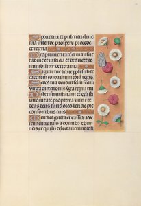 Stundenbuch der Königin Isabella der Katholischen, Königin von Spanien: Fol. 104r, um 1500 von Master of the First Prayerbook of Maximillian