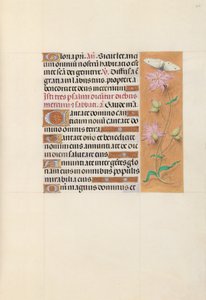 Stundenbuch der Königin Isabella der Katholischen, Königin von Spanien: Fol. 107r