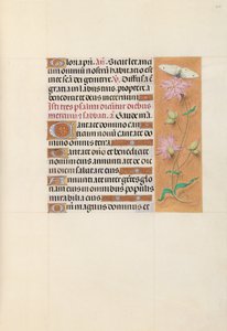 Stundenbuch der Königin Isabella der Katholischen, Königin von Spanien: Fol. 107r, ca. 1500