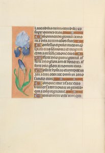 Stunden der Königin Isabella der Katholischen, Königin von Spanien: Fol. 107v, um 1500 von Master of the First Prayerbook of Maximillian