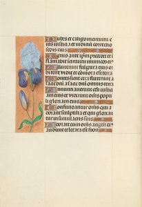 Stundenbuch der Königin Isabella der Katholischen, Königin von Spanien: Fol. 108v von Master of the First Prayerbook of Maximillian