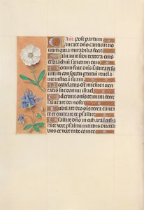 Stundenbuch der Königin Isabella die Katholische, Königin von Spanien: Fol. 109v, ca. 1500