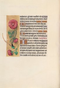 Stundenbuch der Königin Isabella der Katholischen, Königin von Spanien: Fol. 110v, ca. 1500