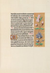 Stundenbuch der Königin Isabella die Katholische, Königin von Spanien: Fol. 111r, ca. 1500 von Master of the First Prayerbook of Maximillian