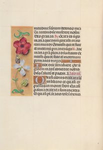 Stunden der Königin Isabella der Katholischen, Königin von Spanien: Fol. 111v von Master of the First Prayerbook of Maximillian