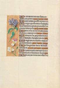 Stunden der Königin Isabella der Katholischen, Königin von Spanien: Fol. 113v, um 1500 von Master of the First Prayerbook of Maximillian