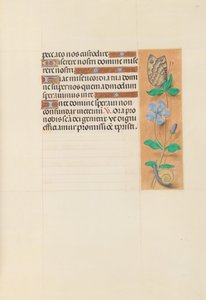 Stundenbuch der Königin Isabella der Katholischen, Königin von Spanien: Fol. 114r, um 1500 von Master of the First Prayerbook of Maximillian