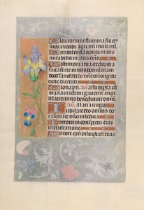 Stundenbuch der Königin Isabella der Katholischen, Königin von Spanien: Fol. 116v, ca. 1500 von Master of the First Prayerbook of Maximillian