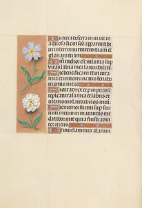 Stundenbuch der Königin Isabella der Katholischen, Königin von Spanien: Fol. 117v, ca. 1500