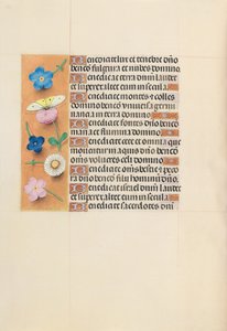 Stundenbuch der Königin Isabella der Katholischen, Königin von Spanien: Fol. 119v, um 1500 von Master of the First Prayerbook of Maximillian