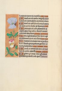 Stundenbuch der Königin Isabella der Katholischen, Königin von Spanien: Fol. 120v, um 1500 von Master of the First Prayerbook of Maximillian