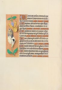 Stundenbuch der Königin Isabella der Katholischen, Königin von Spanien: Fol. 121v, ca. 1500 von Master of the First Prayerbook of Maximillian