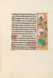 Stundenbuch der Königin Isabella der Katholischen, Königin von Spanien: Fol. 123r von Master of the First Prayerbook of Maximillian