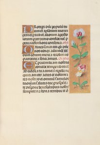 Stundenbuch der Königin Isabella die Katholische, Königin von Spanien: Fol. 125r, um 1500 von Master of the First Prayerbook of Maximillian