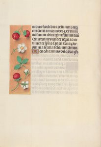 Stundenbuch der Königin Isabella der Katholischen, Königin von Spanien: Fol. 125v, um 1500 von Master of the First Prayerbook of Maximillian