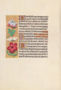 Stundenbuch der Königin Isabella der Katholischen, Königin von Spanien: Fol. 129v, ca. 1500 von Master of the First Prayerbook of Maximillian